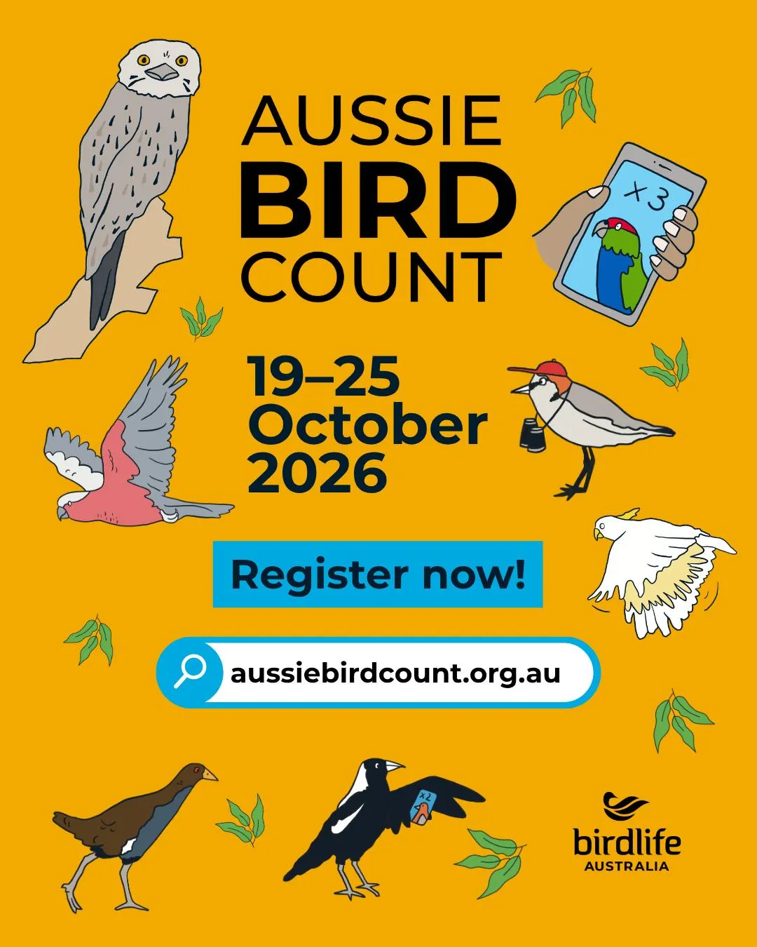Great Aussie Bird Count
