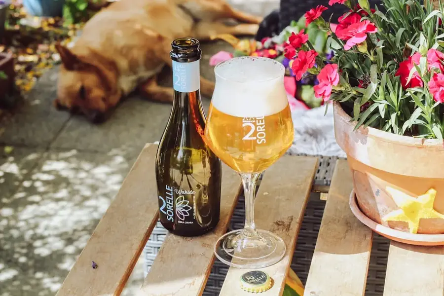 Dog Friendly Pubs Geelong — lifestyle image